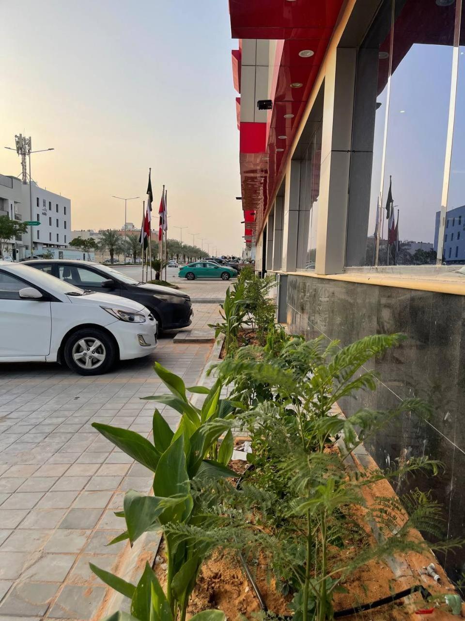 روز بارك *